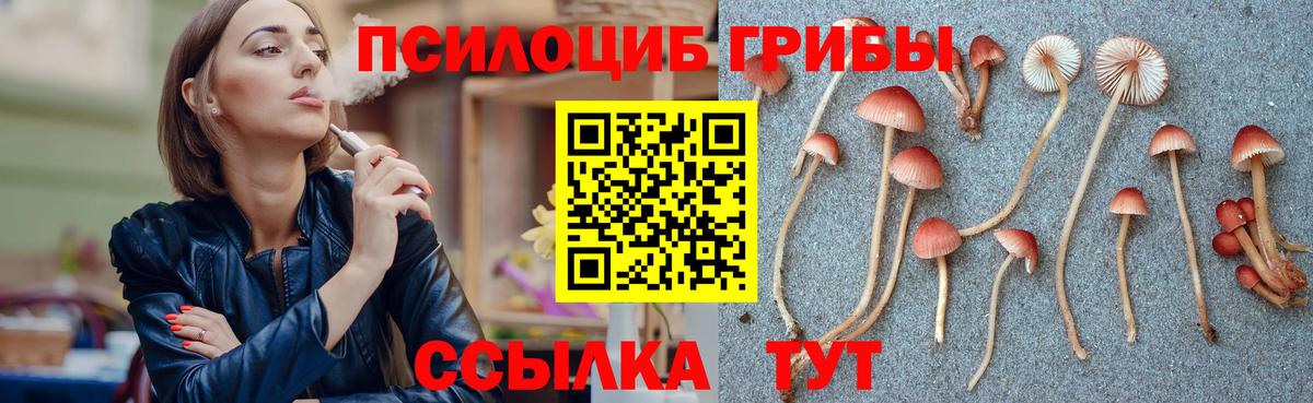 Дагестанские Огни  Галлюциногенные грибы Psilocybe  Вход с VPN 